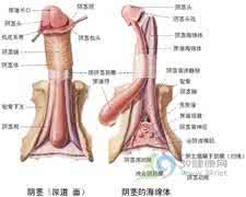 中山健民男科医院