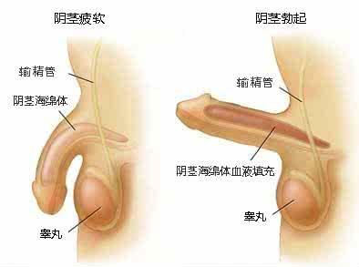 中山健民男科医院