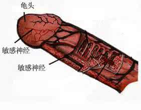 中山东方男科医院