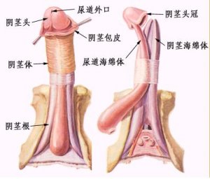 中山健民男科医院